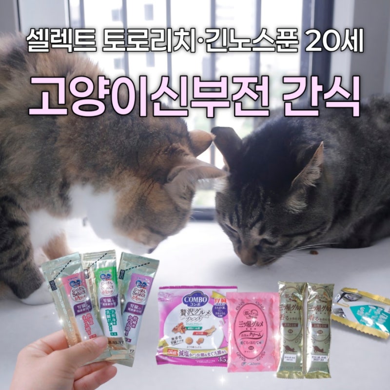 고양이 신부전 간식 추천｜기호성 좋은 닛폰 셀렉트 토로리치·유니참 긴노스푼 후기 (Thanks t....