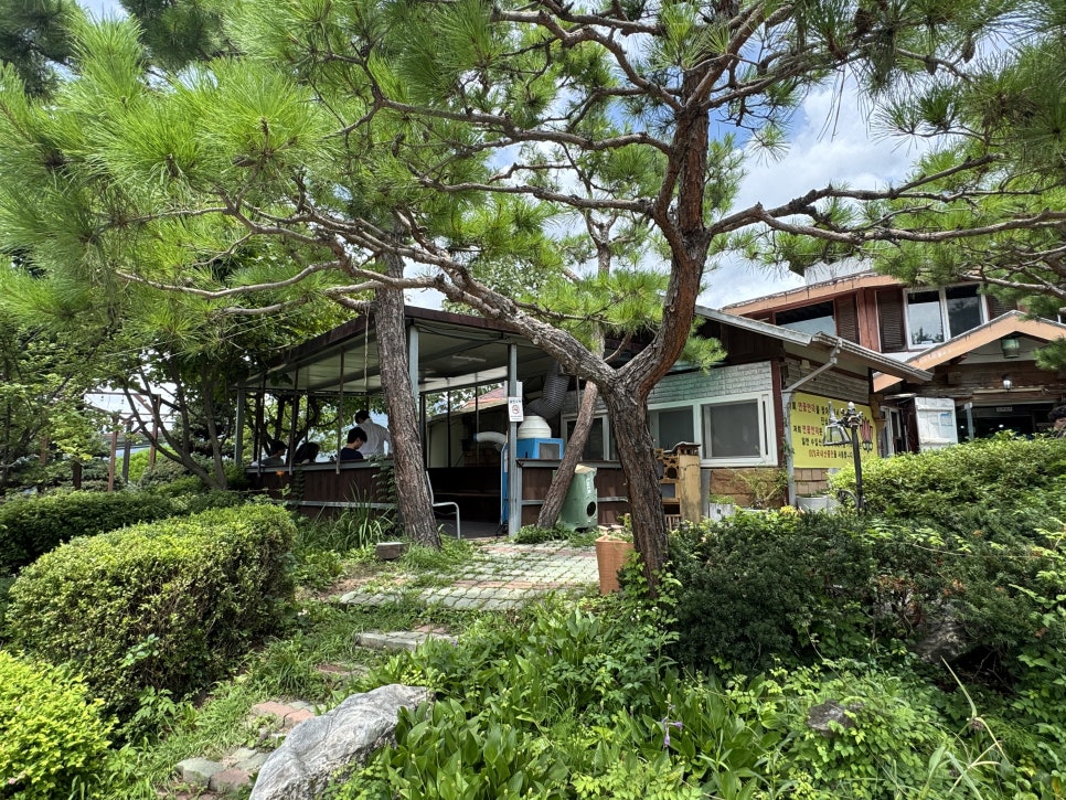 연꽃언덕 사진 3