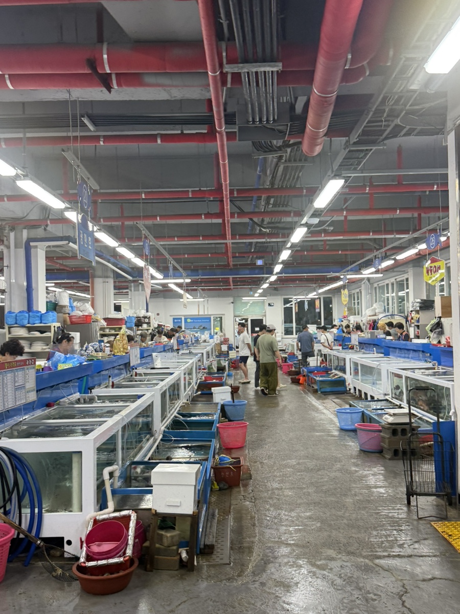 꼭지초장 사진 4