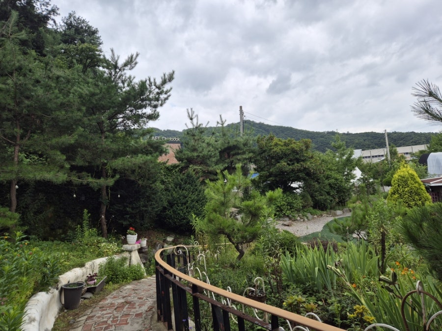 매초약선한식이야기 사진 4