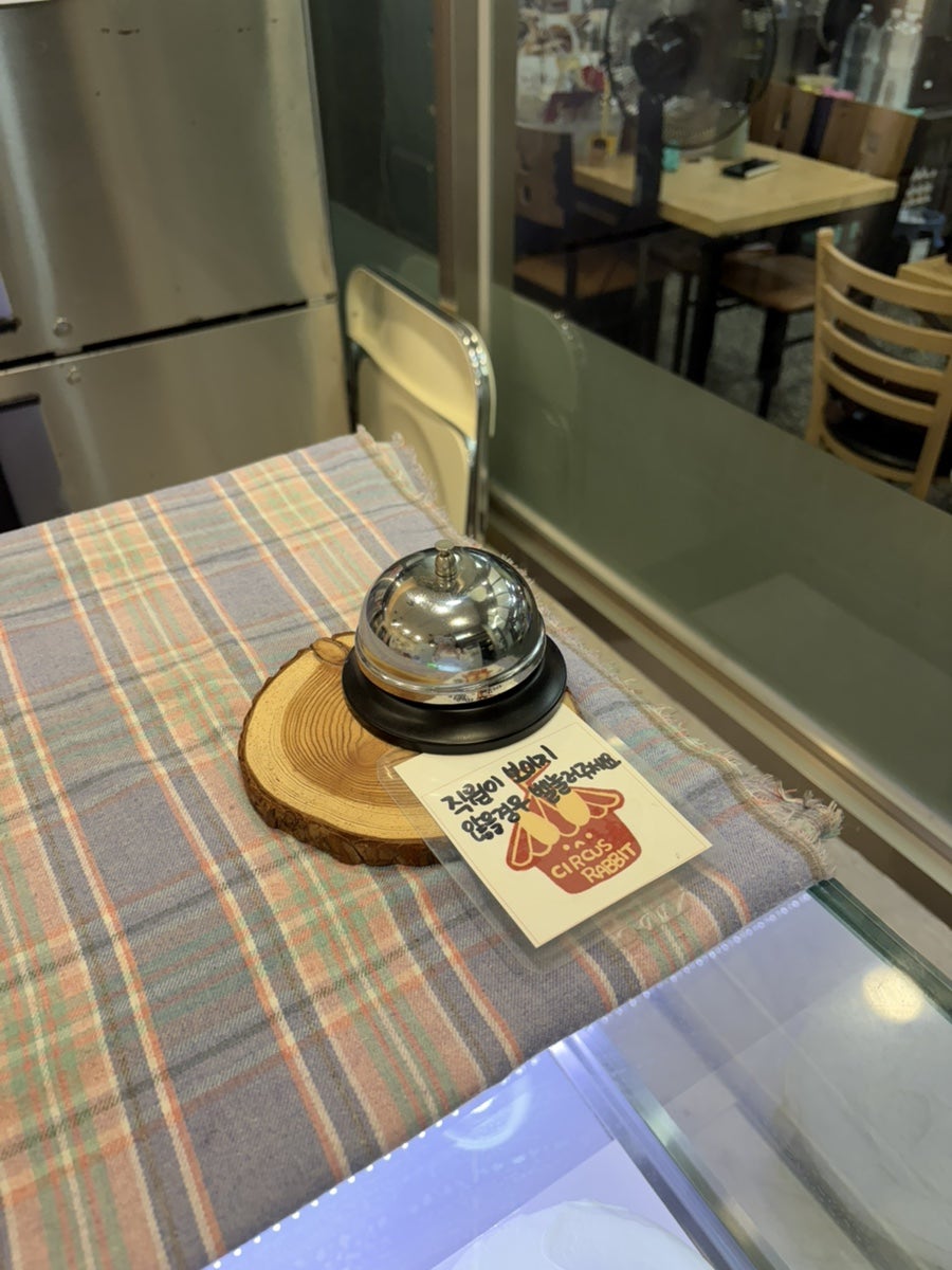 서커스래빗 사진 5
