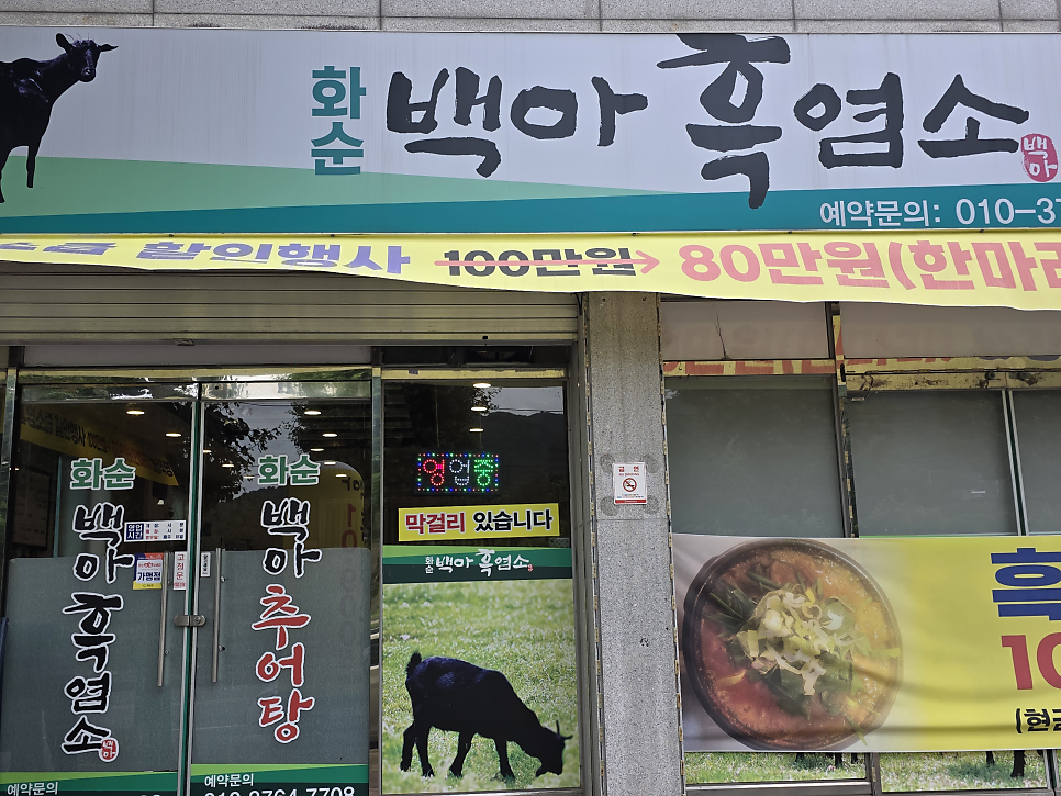 화순백아흑염소 사진 3