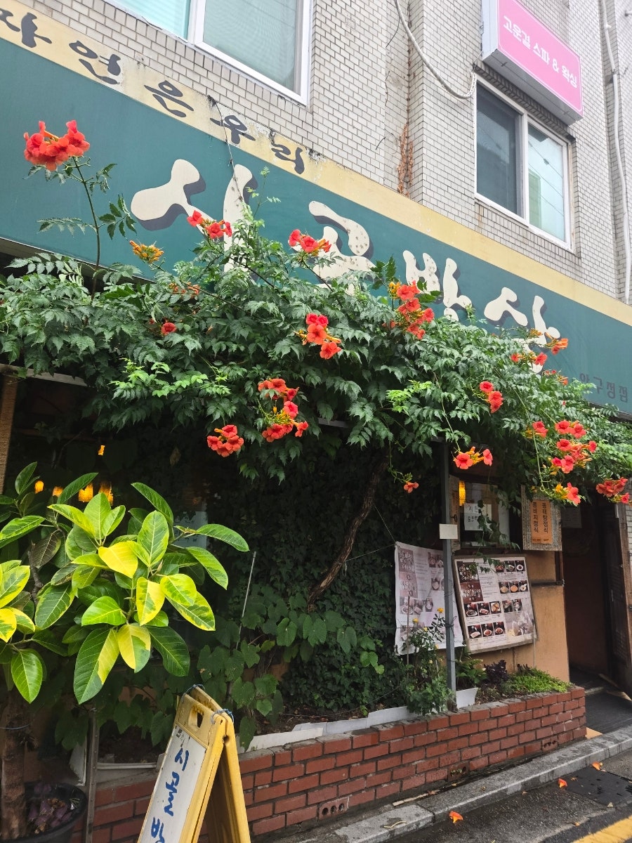 시골밥상 사진 2