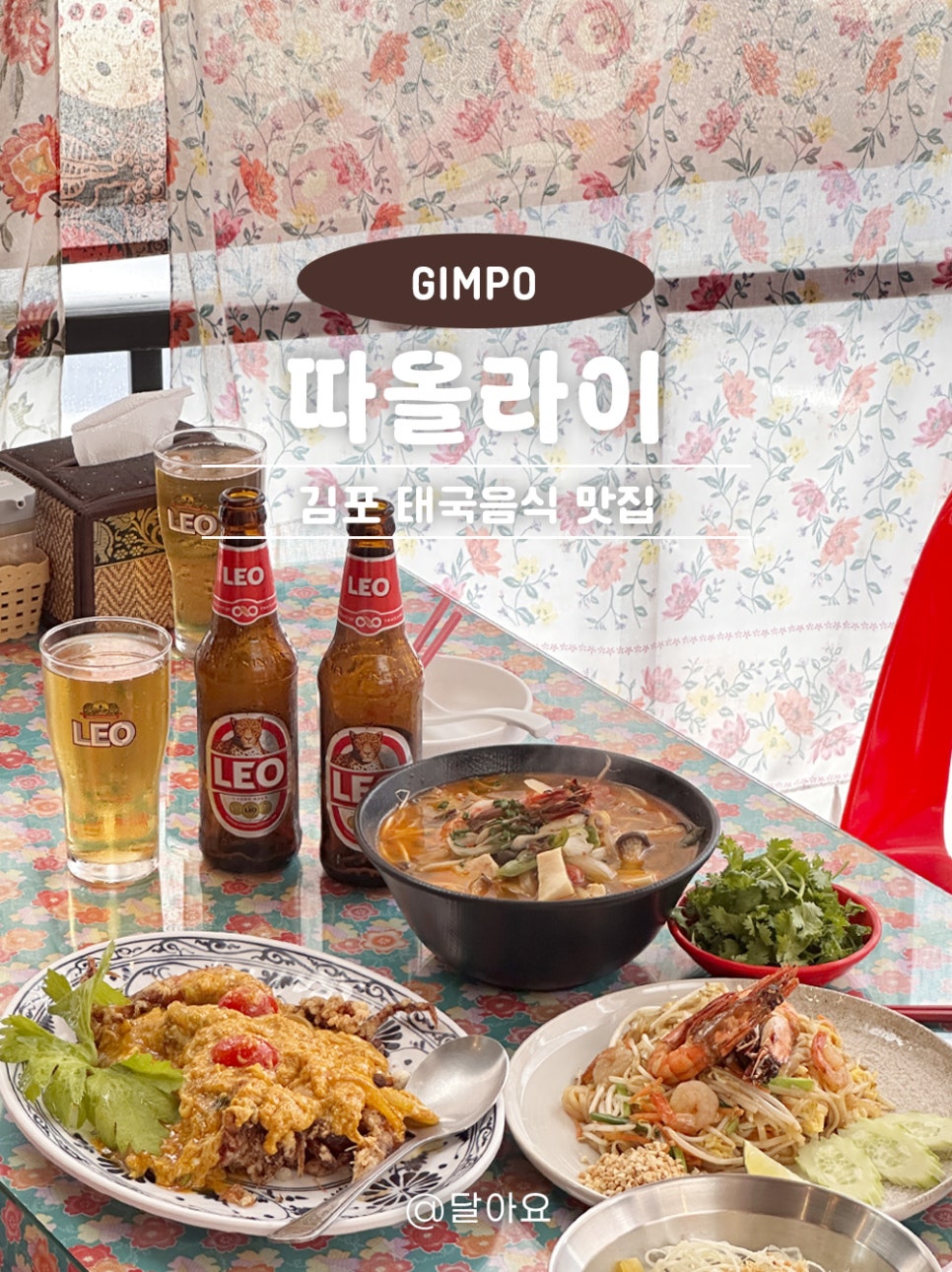 따올라이 사진 1