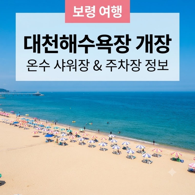 [보령 여행] 2026 대천해수욕장 개장, 온수 샤워장 꿀팁과 주차 정보 총정리