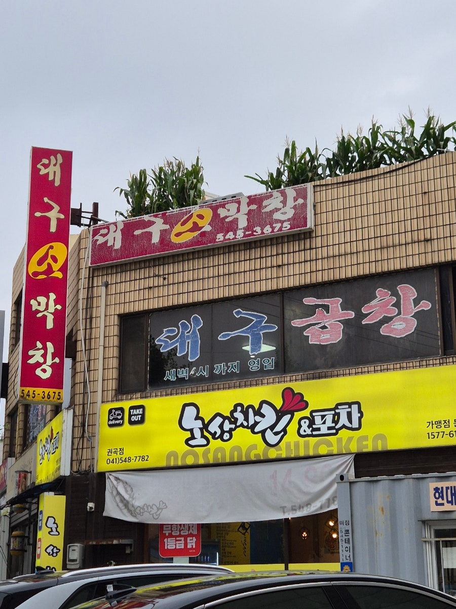 대구소막창 사진 2