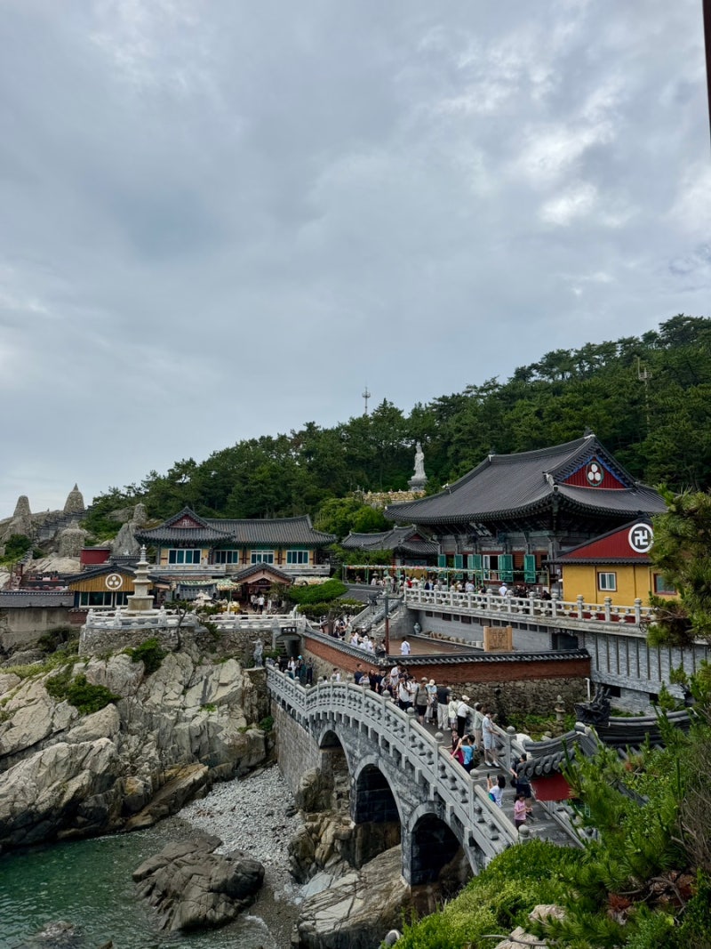 부산 기장 가볼만한 곳 [해동용궁사] 바다 앞 절이 이색적인 곳