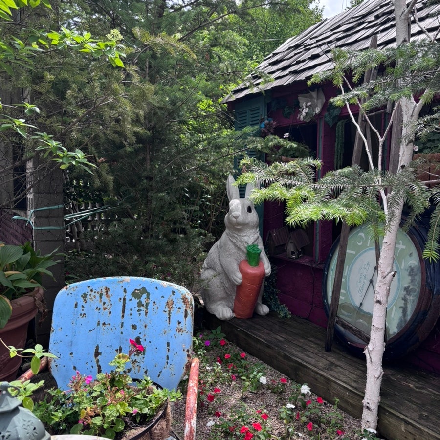 상원 사진 5