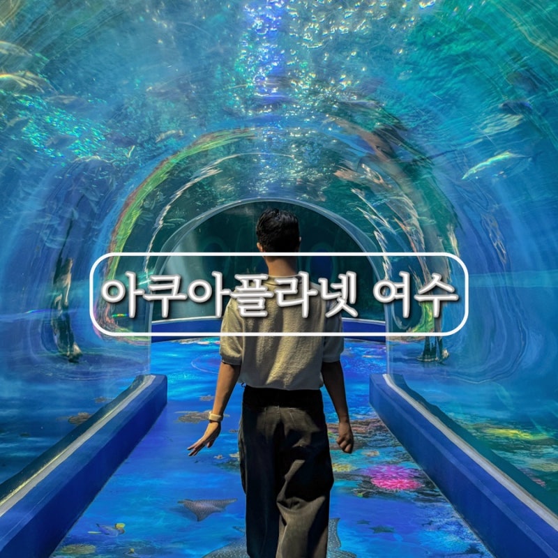 전남 여수 관광지 실내 가볼만한곳 아쿠아플라넷 주말 방문 후기