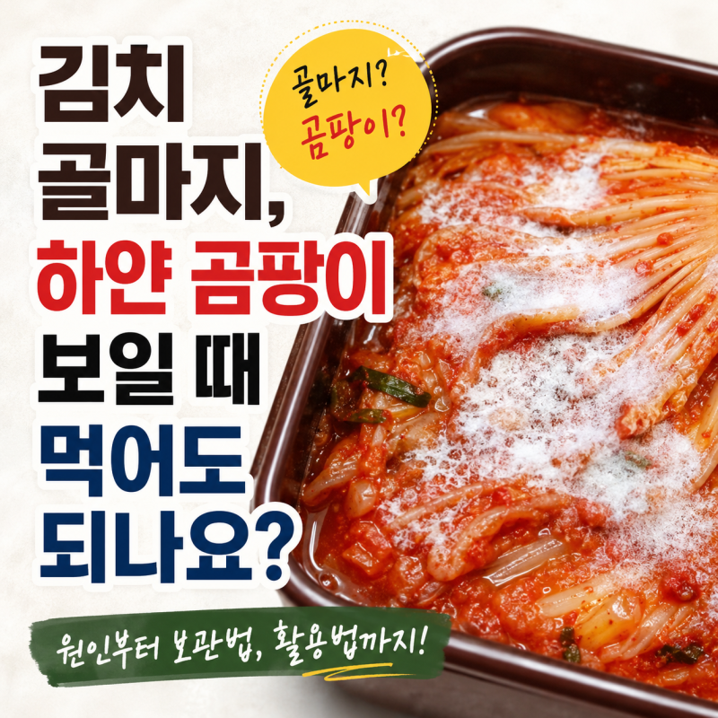 김치 골마지, 하얀 곰팡이 보일 때 먹어도 되나요?