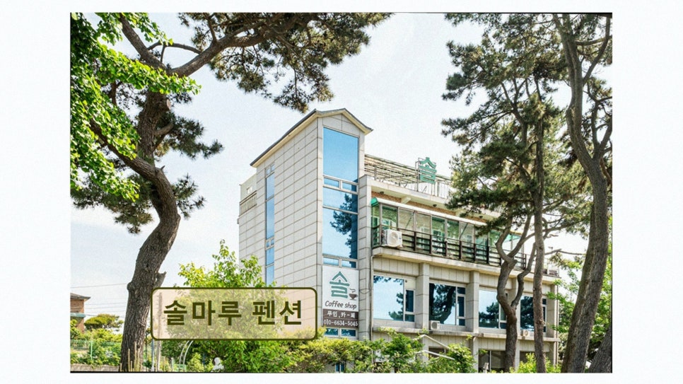 솔마루펜션 사진 3