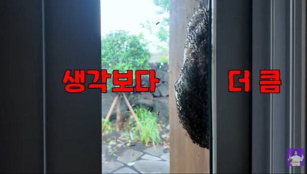 김숙 제주집 2주 비웠더니 초비상, 창문 열기 전 발견한 60cm 벌집