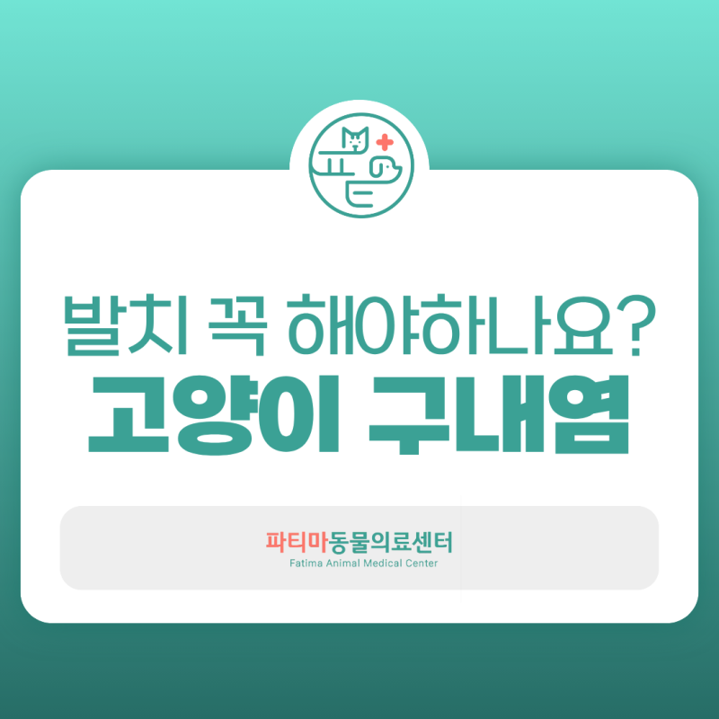 고양이 구내염 증상과 치료, 발치까지 꼭 해야 할까요?