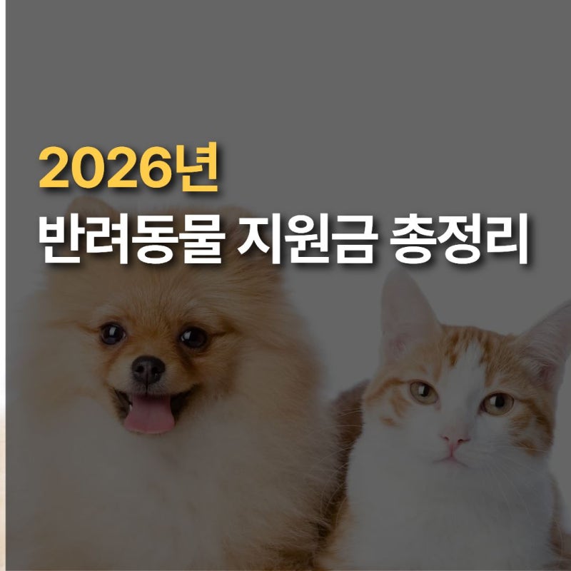 반려동물 지원금 총정리 (서울·경기·인천·부산 공식 신청 링크)