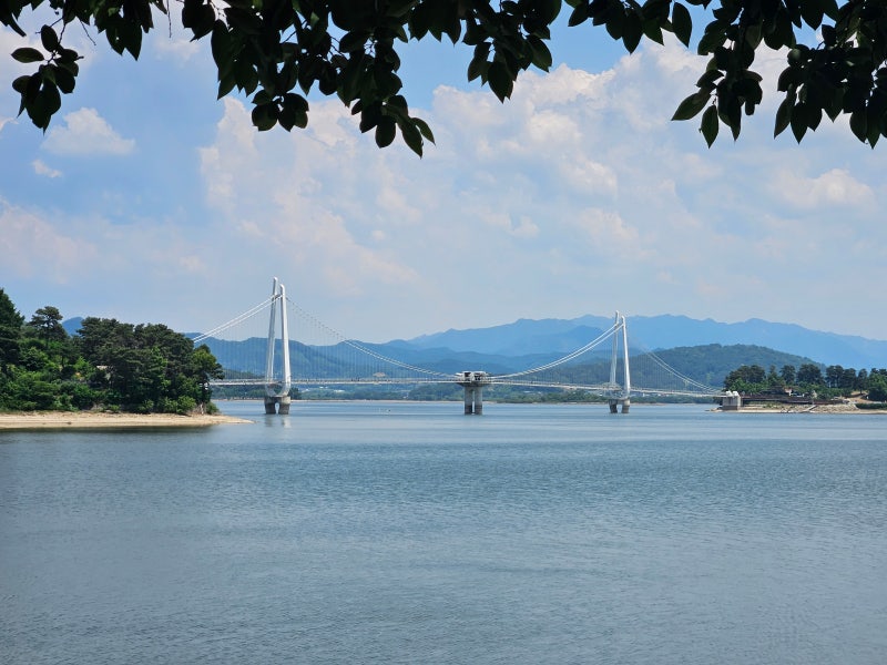 논산 탑정호 출렁다리와 수변 데크 산책로 후기