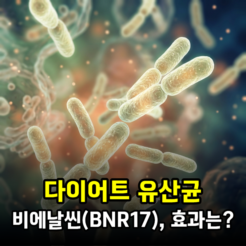 김희선 다이어트 유산균 비에날씬(BNR17), 효과는?