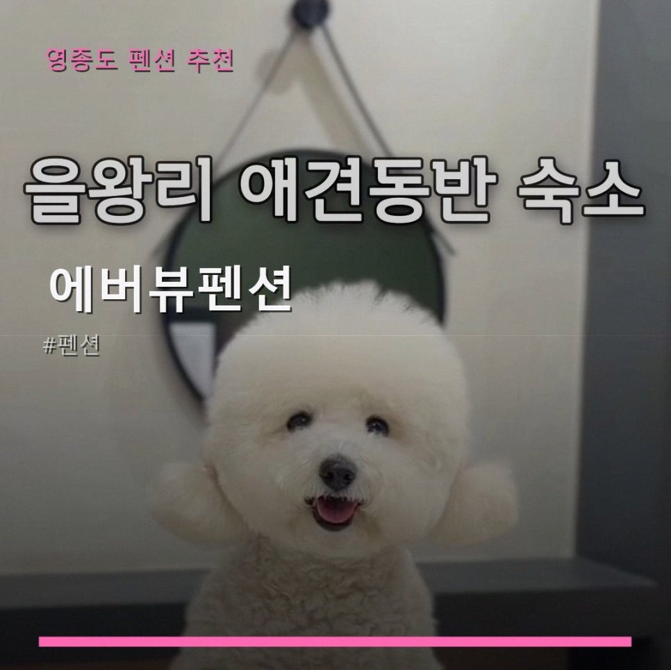 에버뷰펜션 사진 1