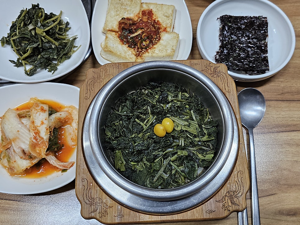 목향 사진 5