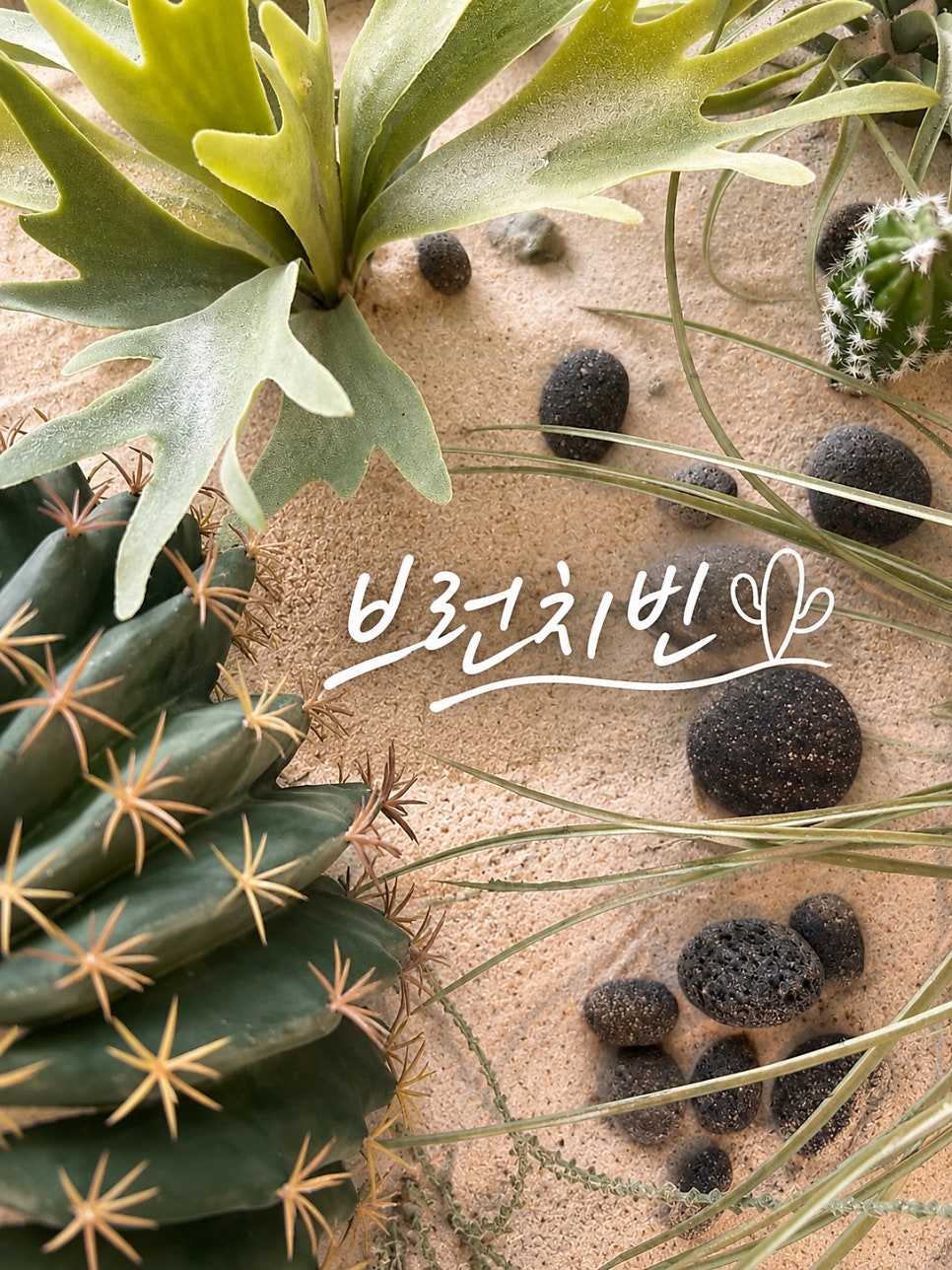 브런치빈 시흥대야점 사진 1