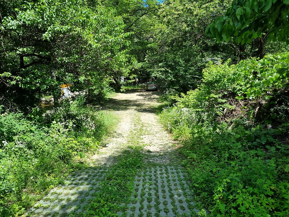 용계계곡 사진 6