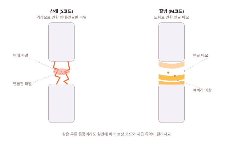 [수원보험] 무릎 통증, 병원 가기 전 필수 체크! 실비 청구부터 숨은 보험금(후유장해)까지 총....