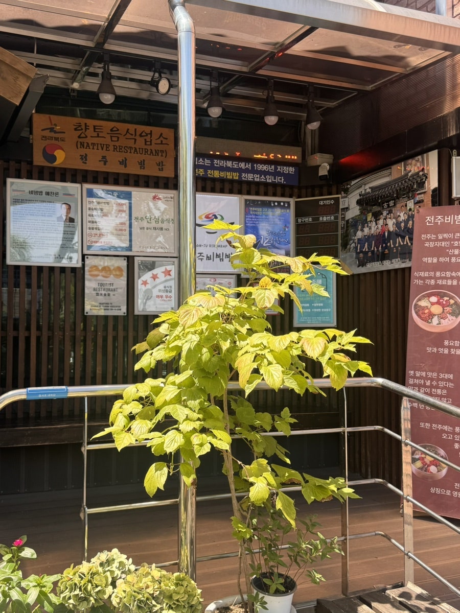 고궁 전주본점 사진 6