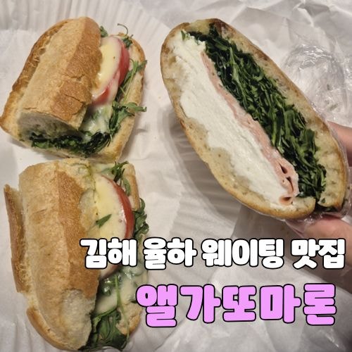 앨가또마론 사진 1