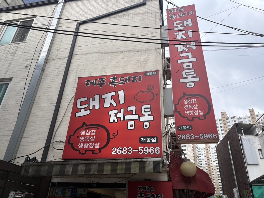 돼지저금통 사진 1