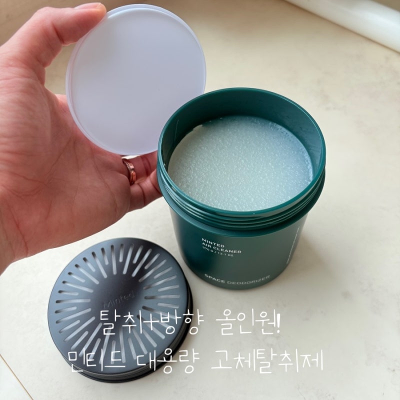 대형서점 향기가 우리 집에? 민티드 에어클리너 대용량 고체탈취제
