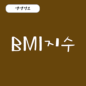 내 몸의 BMI정상지수 (여자, 남자) 계산법 계산하기
