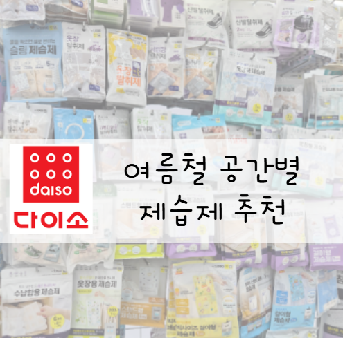 습기 잡는 데 진심! 다이소 제습제 6종, 공간별 사용법까지 정리했어요