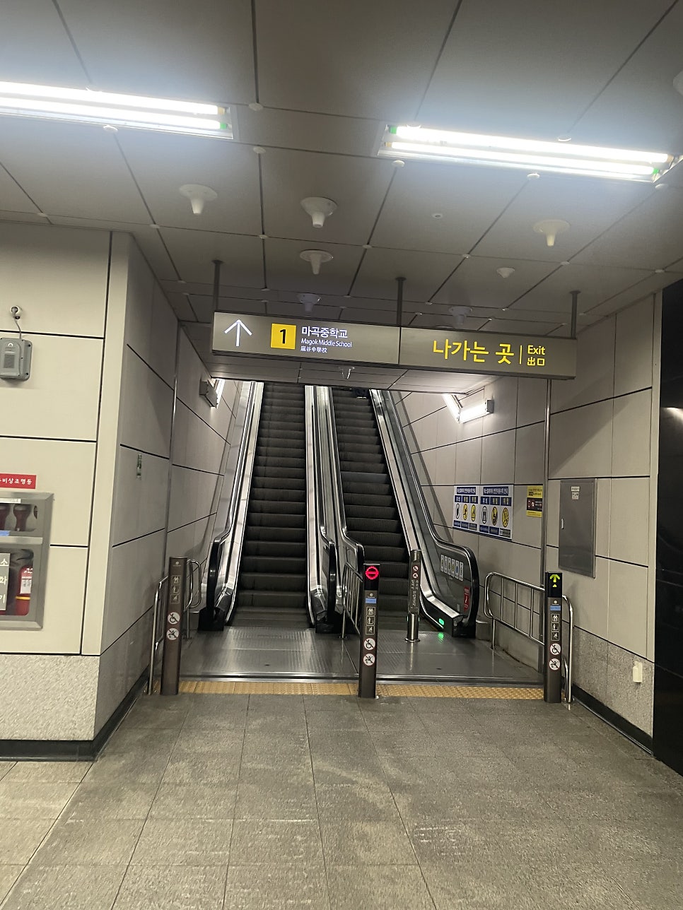 타르데마 베이커리 마곡나루 사진 1