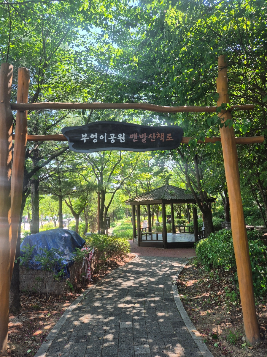 황톳길 사진 2
