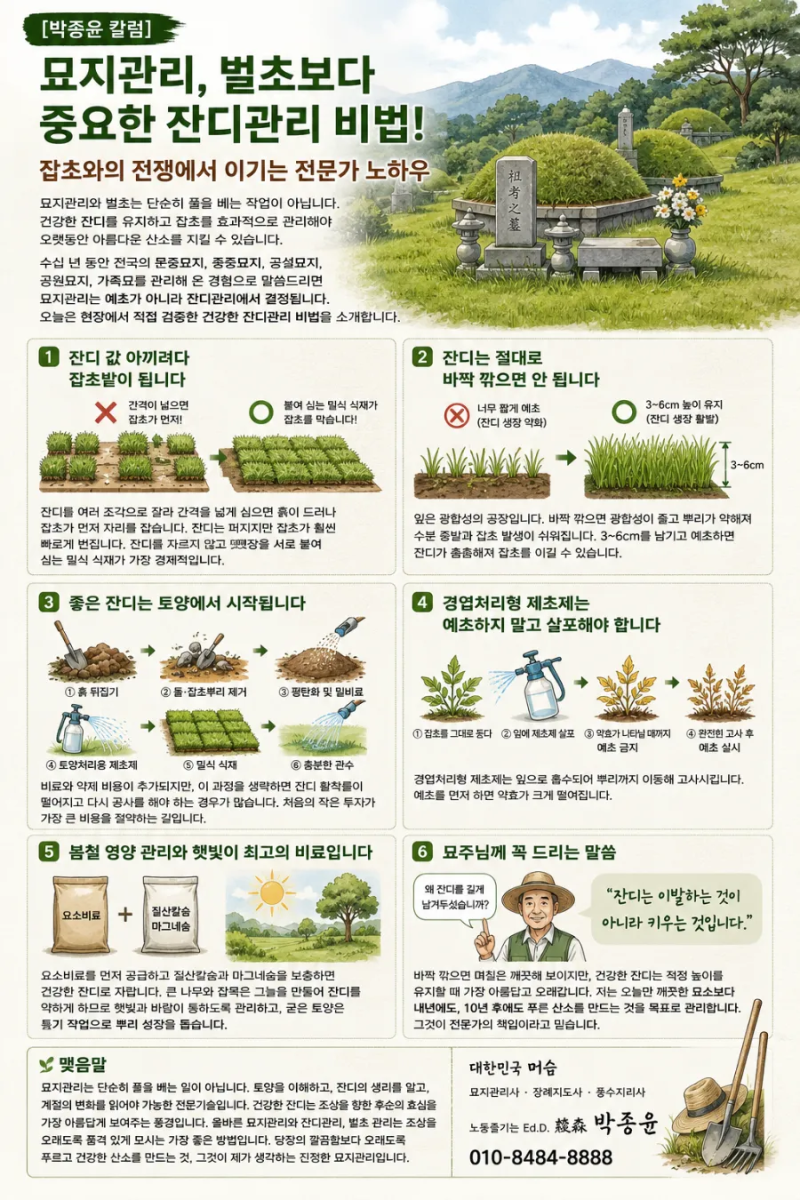 묘지관리의 핵심, 벌초보다 중요한 잔디관리! 잡초를 이기는 전문가의 비법