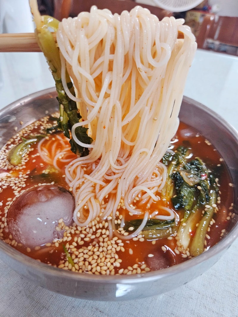 열무국수 열무 김치말이국수 열무김치소면 시원한 한그릇요리