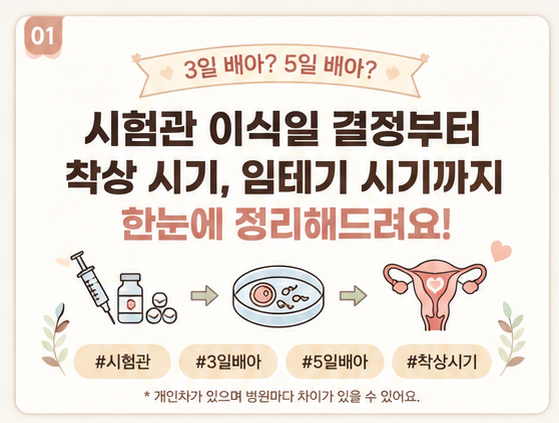 시험관 3일 배아 vs 5일 배아｜이식일, 착상 시기, 임신테스트기 시점 총정리