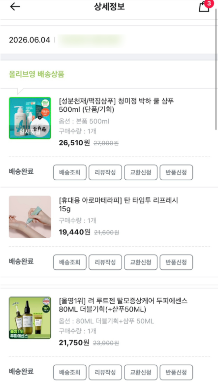 올리브 사진 3