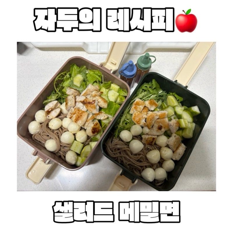 건강하고 맛있는 다이어트 식단, 다이어트 도시락 메뉴 추천 샐러드 메밀면