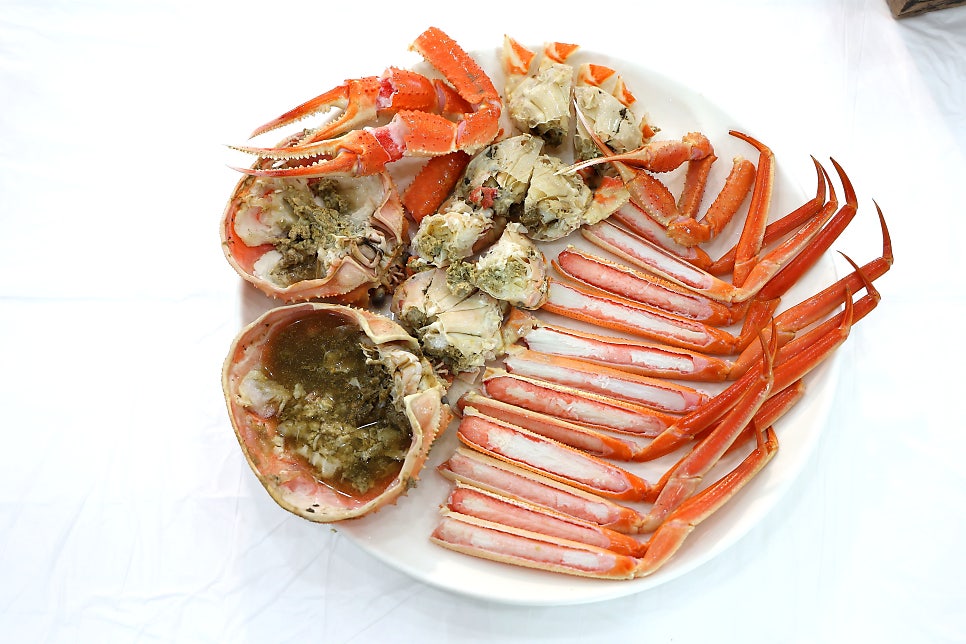 정동진항구회센타 사진 5