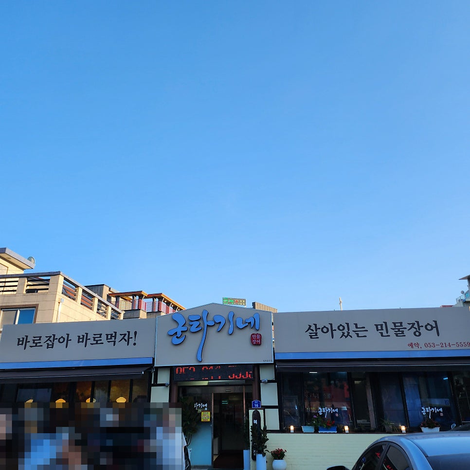 군타기네민물장어 사진 3