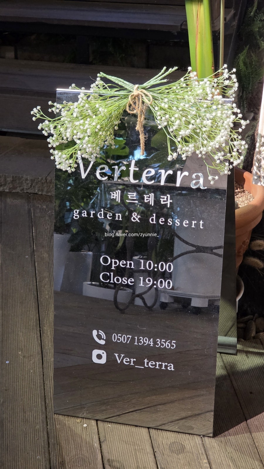 베르테라 사진 3