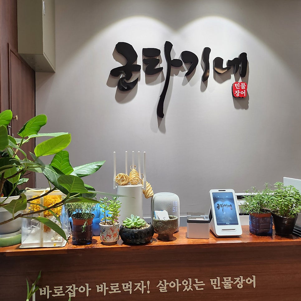 군타기네민물장어 사진 4