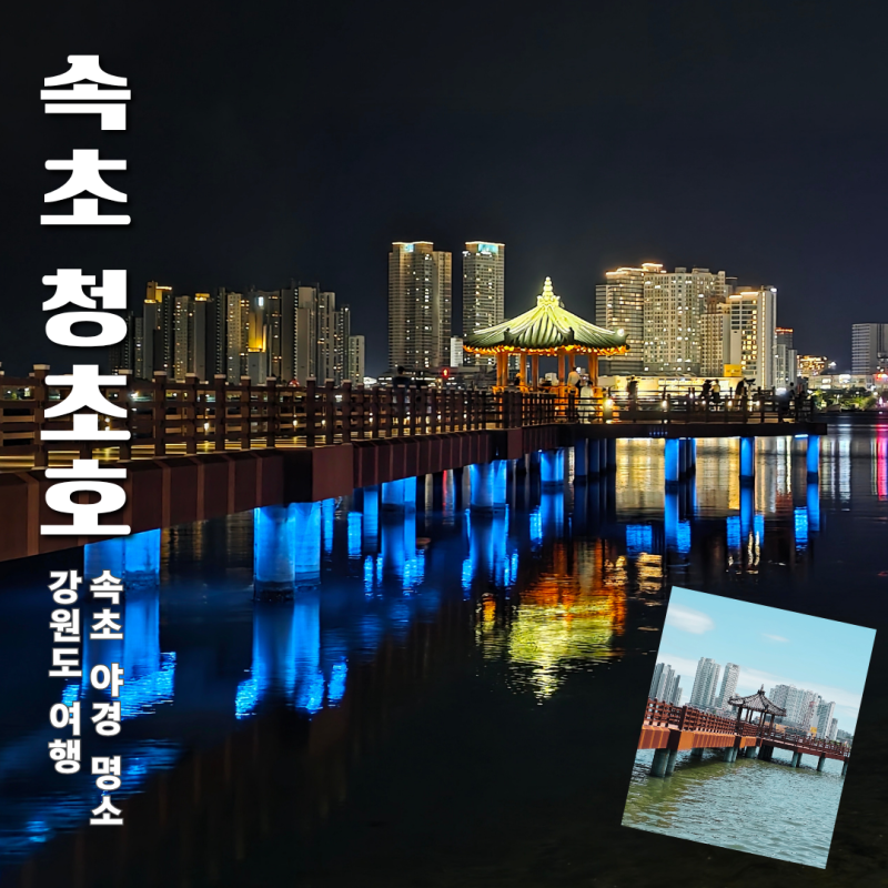 속초 청초호 낮과 밤, 두 번 다녀와 더 좋았던 속초 야경 명소