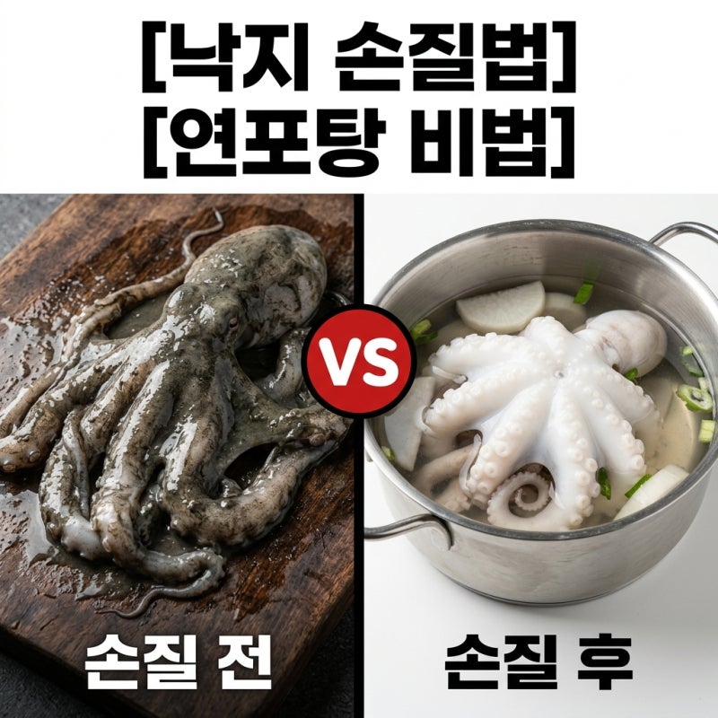 필수 아미노산 듬뿍 낙지 연포탕 재료 손질법 완벽 가이드