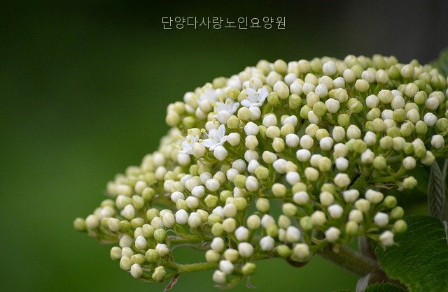 단양다사랑노인요양원 사진 3