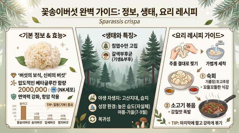꽃송이 버섯의 모든 것