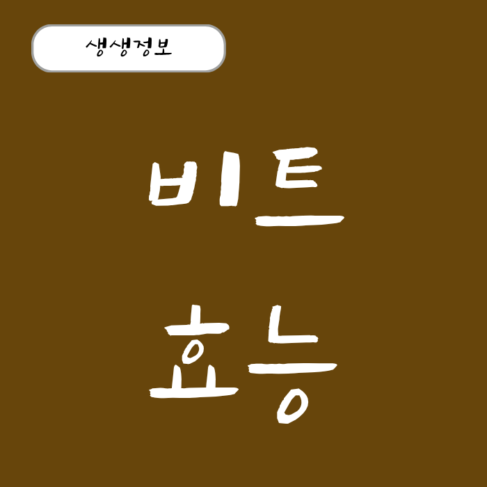 비트 효능 비트즙의 효능 추천, 비트쥬스 효능 총정리