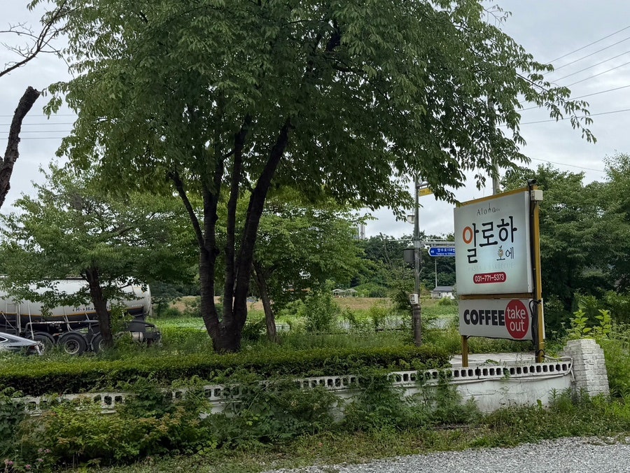 알로하오에 사진 2