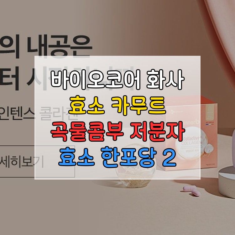 CJ 바이오코어 화사 효소 카무트 곡물콤부차 저분자 한포 2g 30포 6개입 가성비 정품