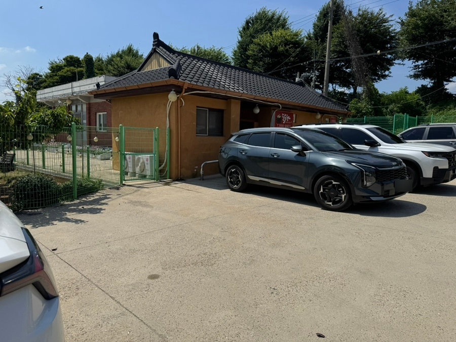 닭향 사진 3